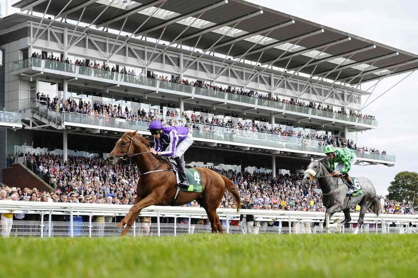 Two racehorses and their jockeys competing on a grass track in front of a large crowded grandstand