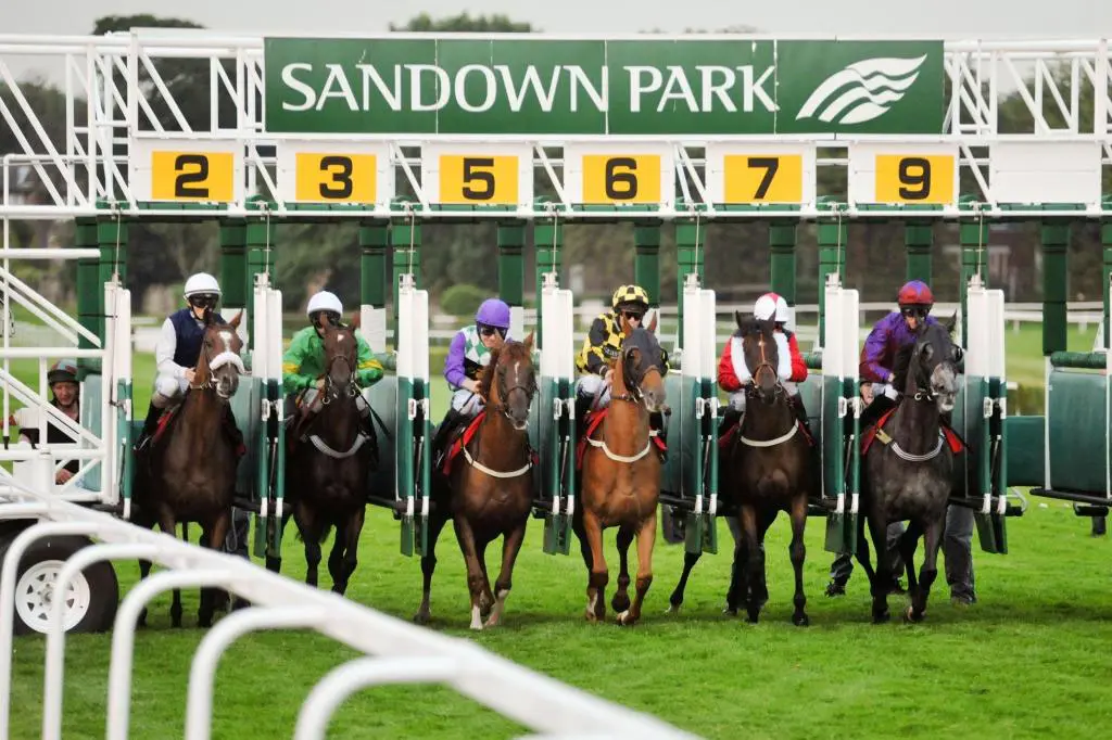 Racehorses and jockeys positioned in the starting gates at Sandown Park racecourse
