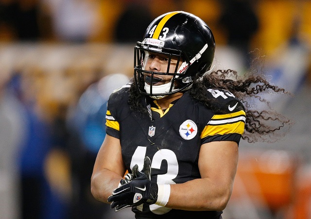 Should the Steelers Want Troy Polamalu to Retire?