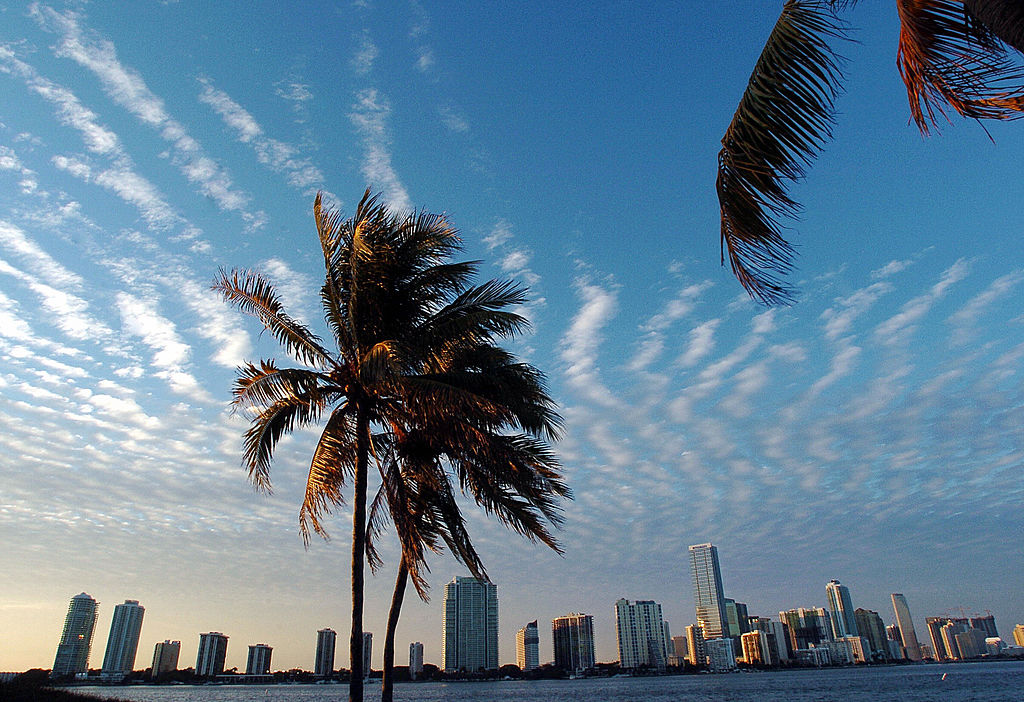 The skyline of Miami