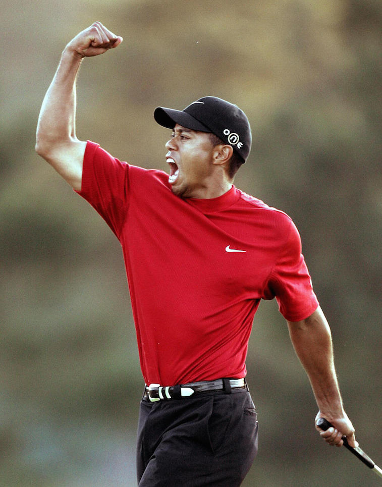 JEFF HAYNES/Getty ImagesTiger Woods celebrates an amazing shot.