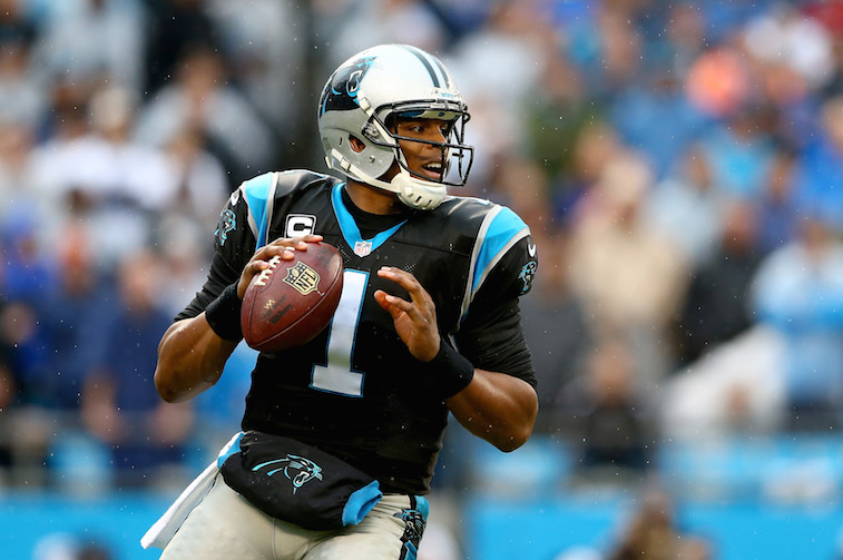 Cam Newton goes back to pass