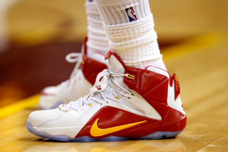 what does lebron james shoes look like