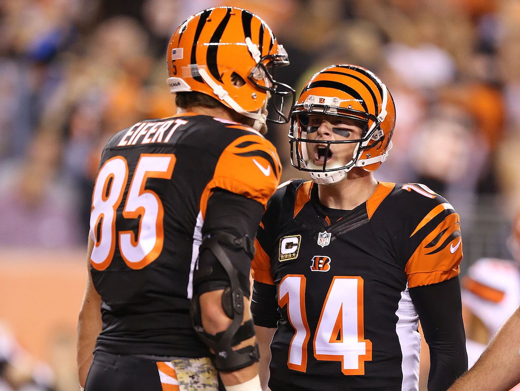 NFL: Preseason AFC North Predictions