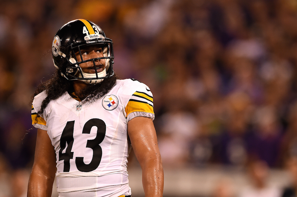 Strong safety Troy Polamalu, #43 of the Pittsburgh Steelers
