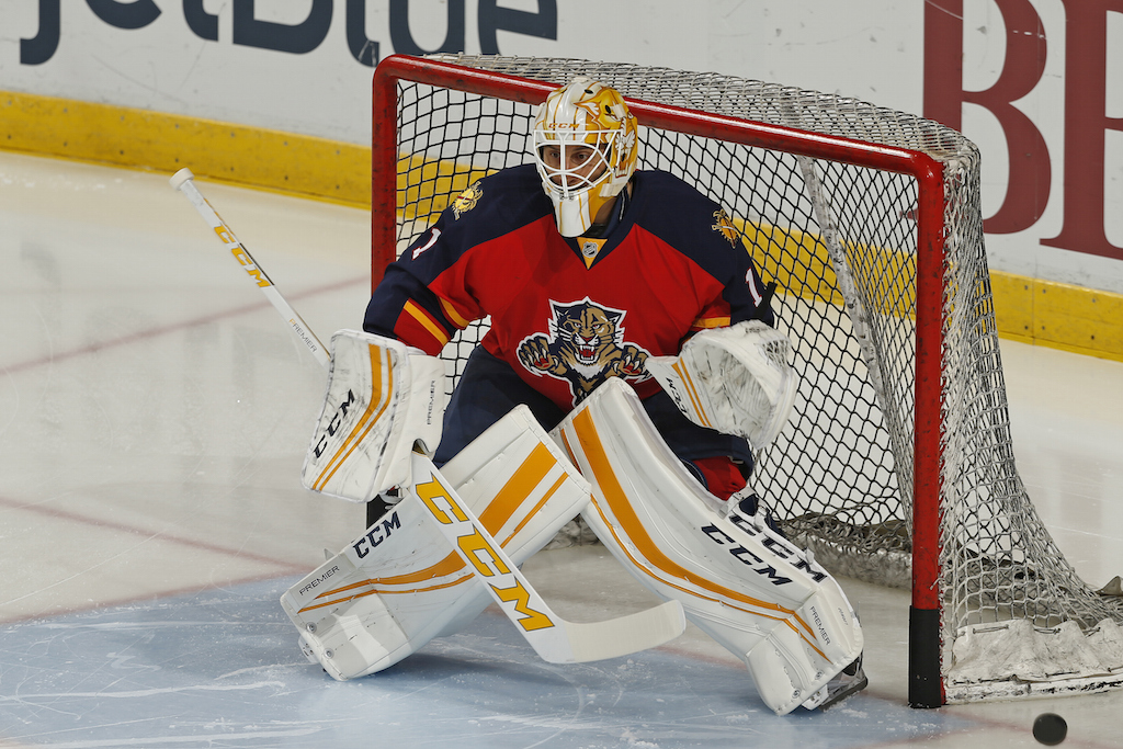 nhl goalie luongo