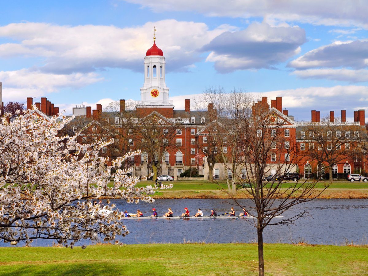 Harvard university