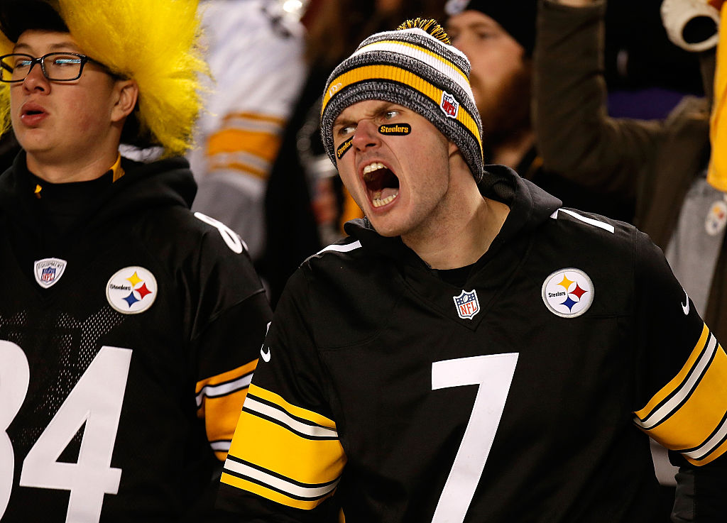 A Pittsburgh Steelers fan cheers during a game against the Baltimore Ravens.