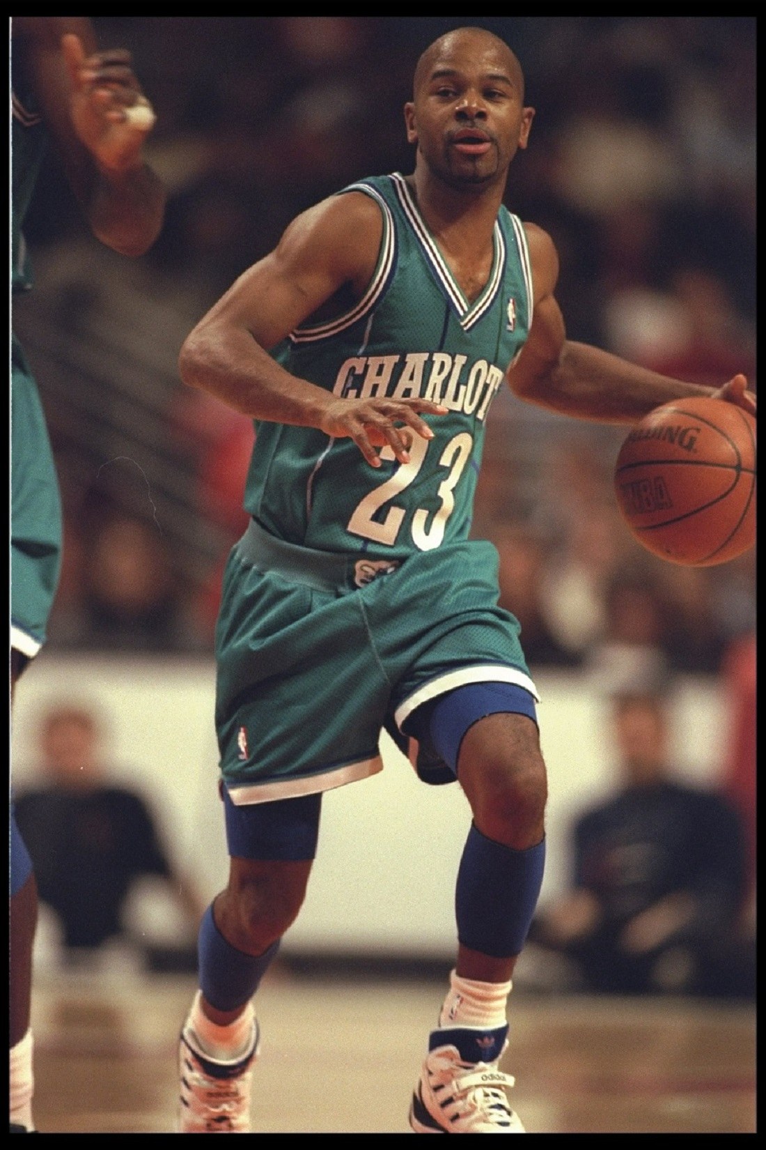 Guard Michael Adams of the Charlotte Hornets