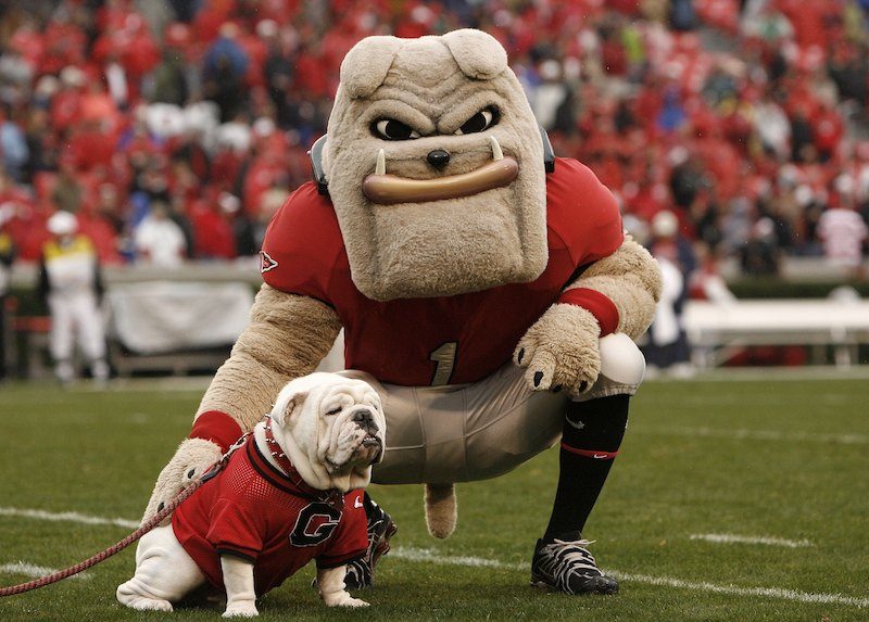The Georgia Bulldogs mascots stands on the field during a game in 2016.