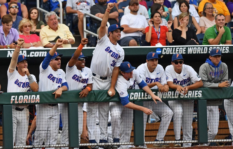 The Florida Gators celebrate a home run.