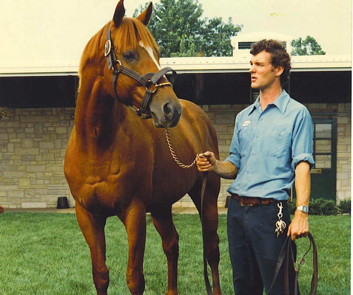 Affirmed Horse