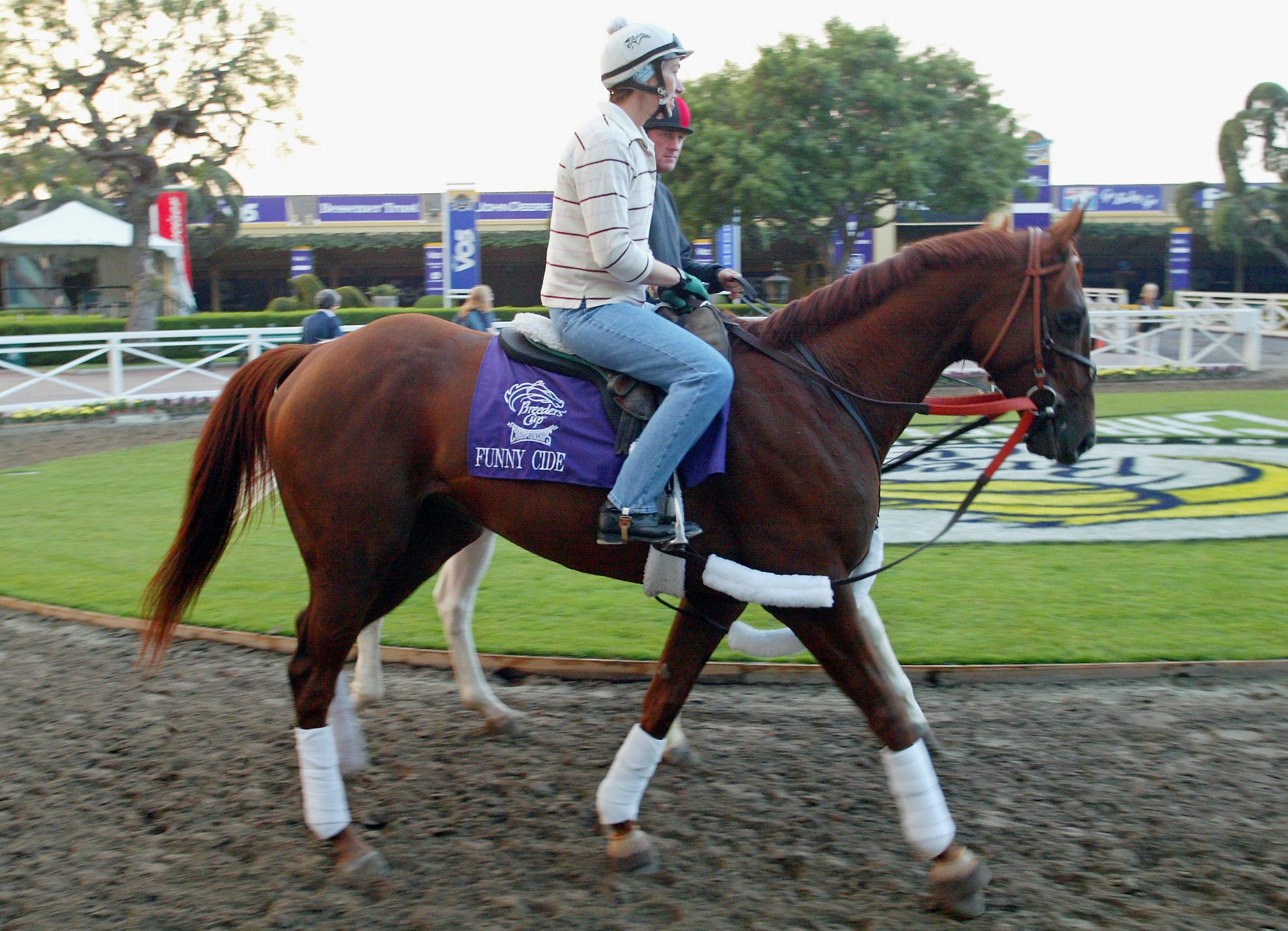 Funny Cide rides back to the stables