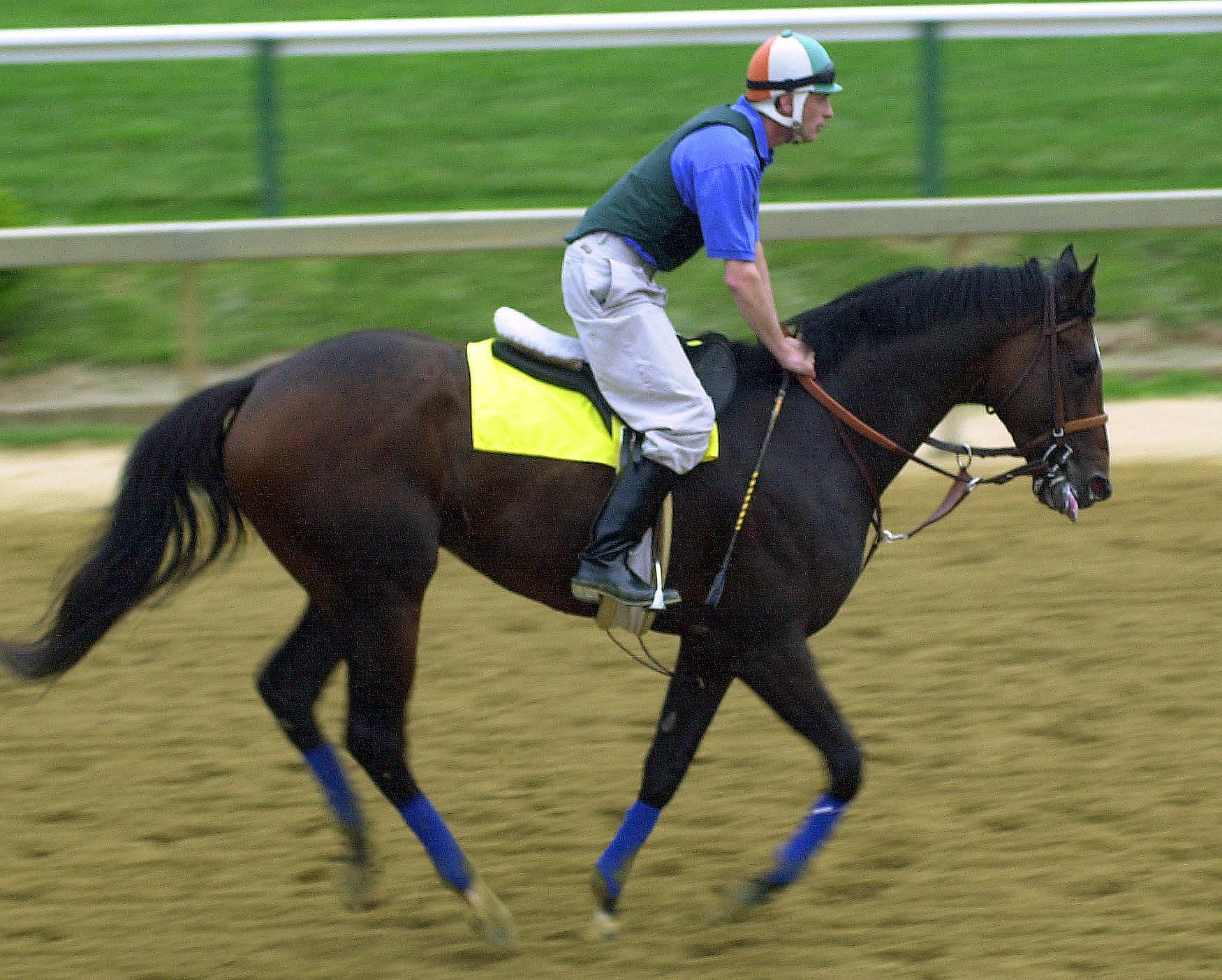 Kentucky Derby winner and Preakness Stakes favorite Fusaichi Pegasus trots during an early morning workout