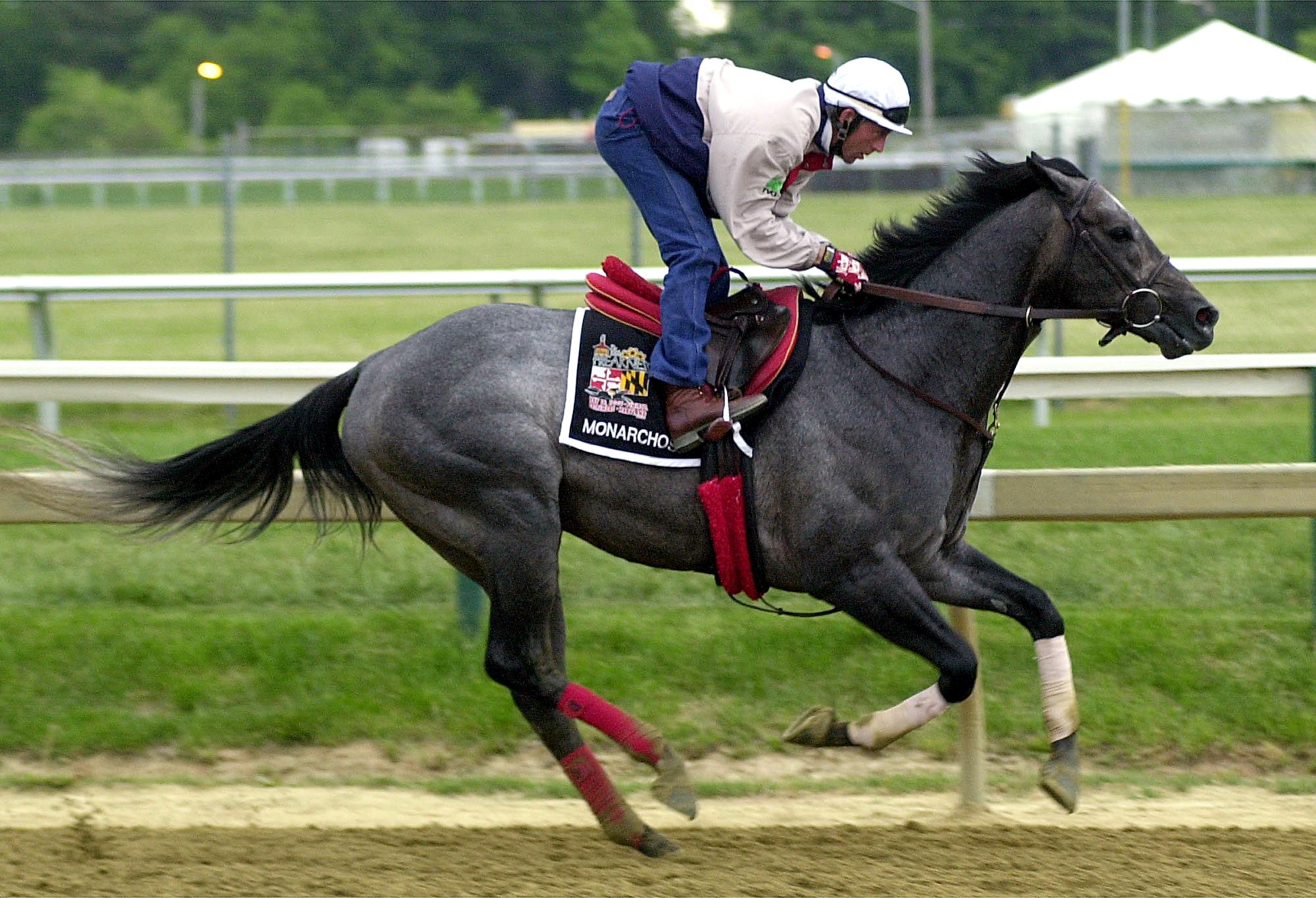 Bryan Beccia, exercise rider, takes the Kentucky Derby winner, Monarchos, for a gallop
