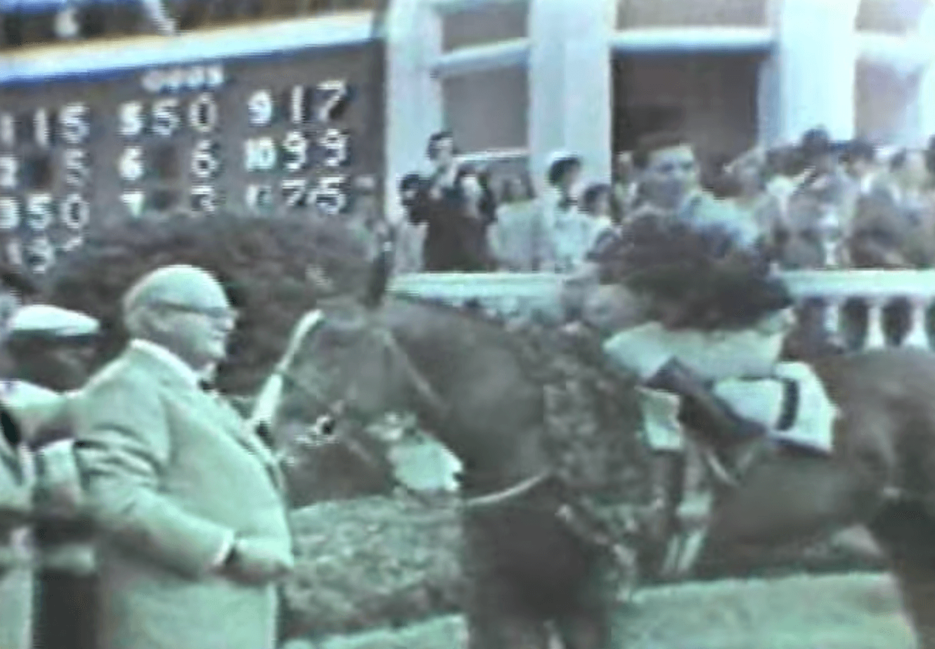 Northern dancer