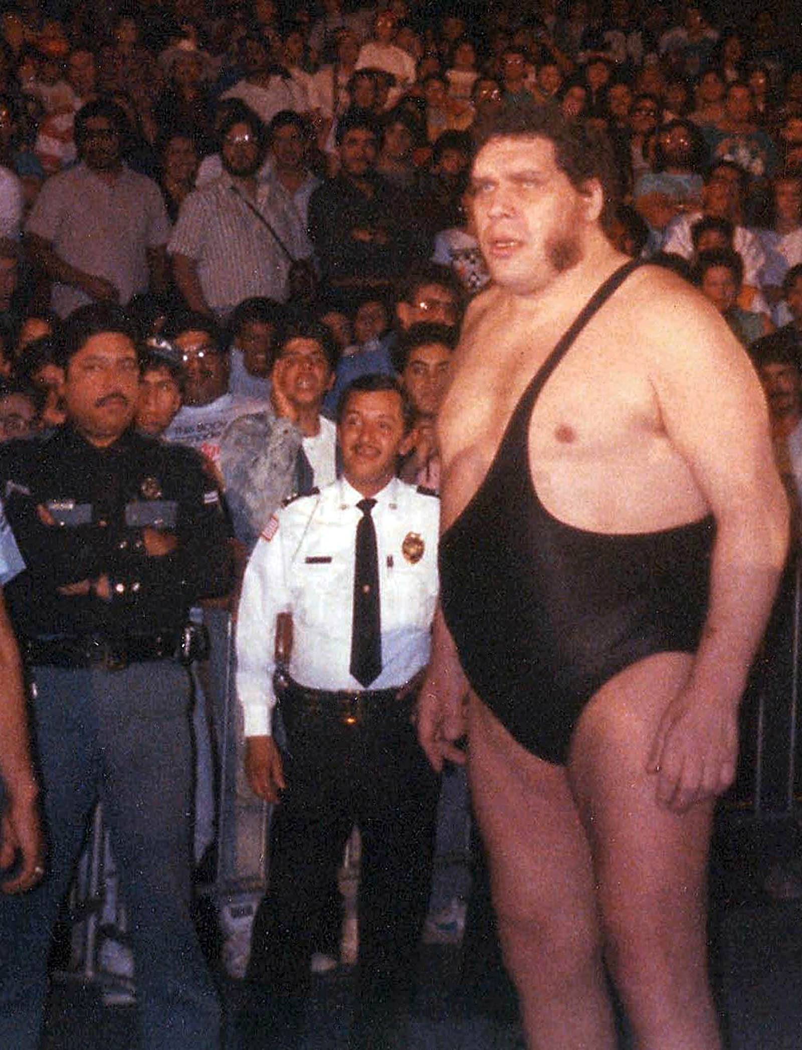 Andre the giant