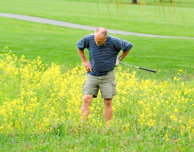 Bad Golfer Looking in Weeds