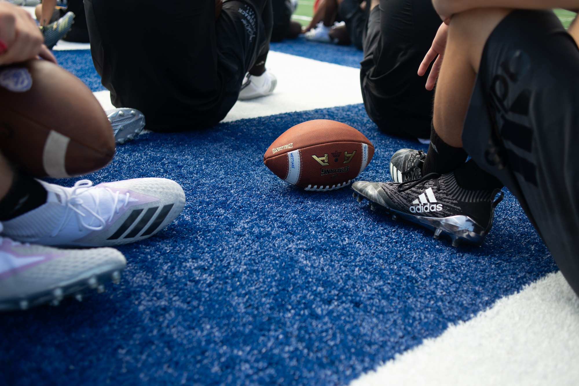 nfl turf shoes