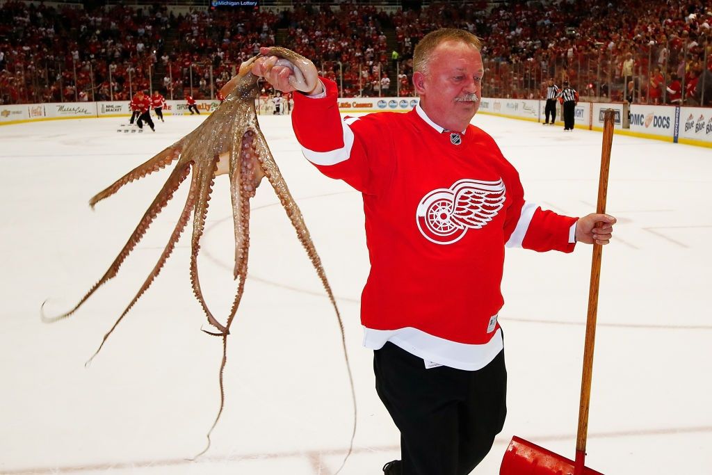 An octopus gets taken off the ice at Joe Louis Arena