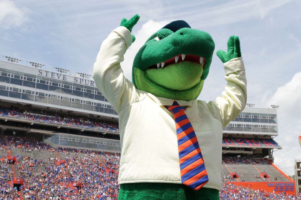 Albert, the Florida Gators mascot