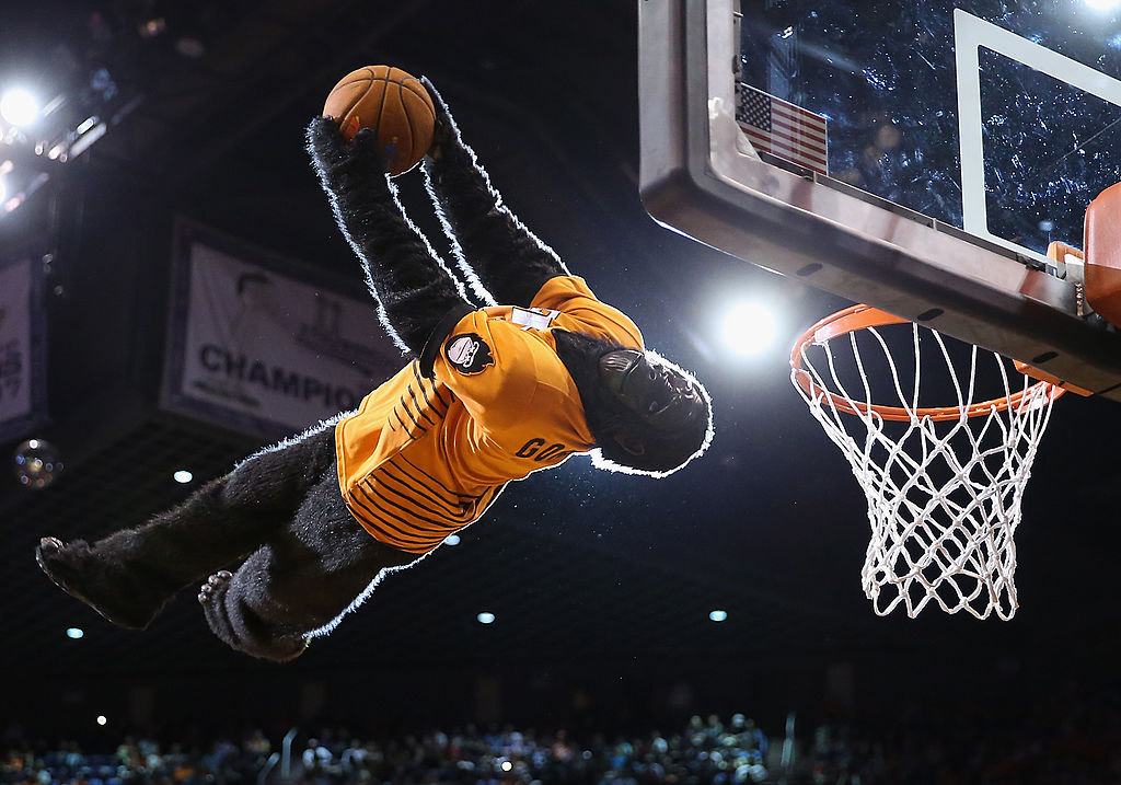 How much do the Phoenix Suns Gorilla and Other NBA Mascots Make?