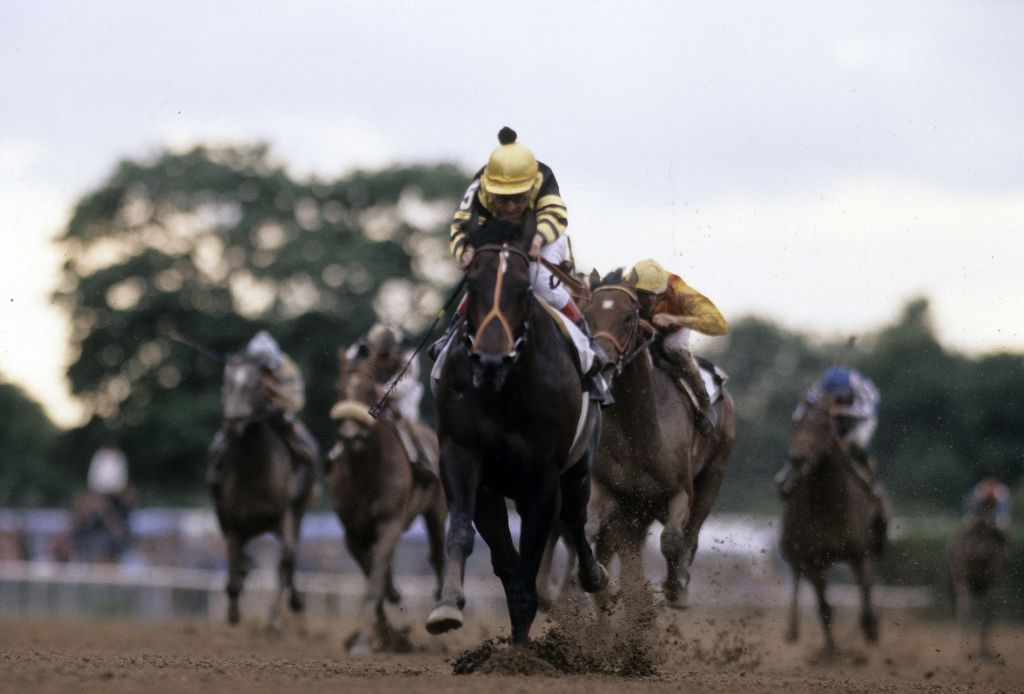 Jockey Jean Grugent sits atop of Seattle Slew racing to win the Triple Crown in 1977
