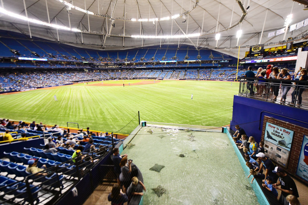 Stingray tank at Tropicana Field, home of the Tampa Bay Rays