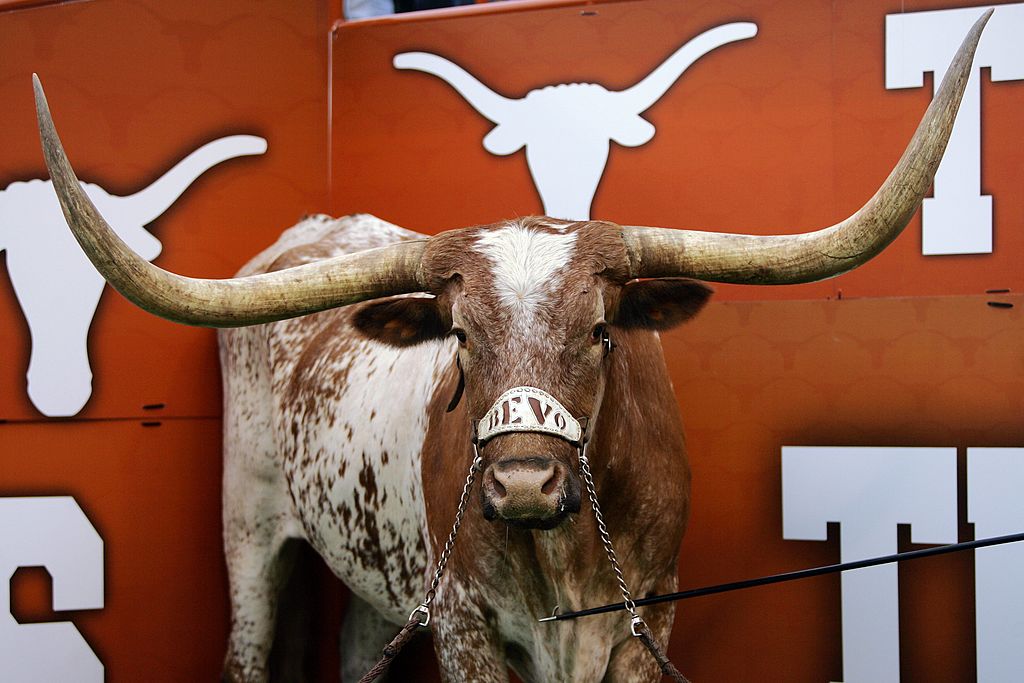 The 7 Weirdest Live Animal Mascots in College Sports The 7 Weirdest Live Animal Mascots in College Sports