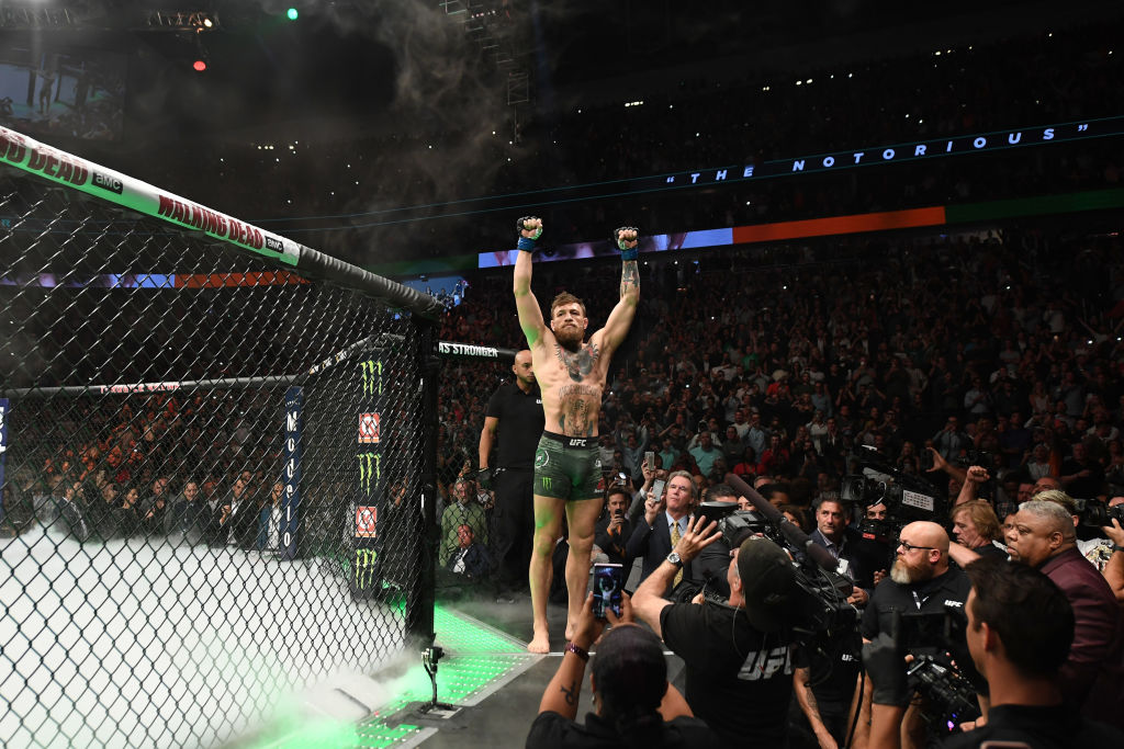 The fights sometimes spill outside of the octagon at UFC bouts when fans get too into the action.