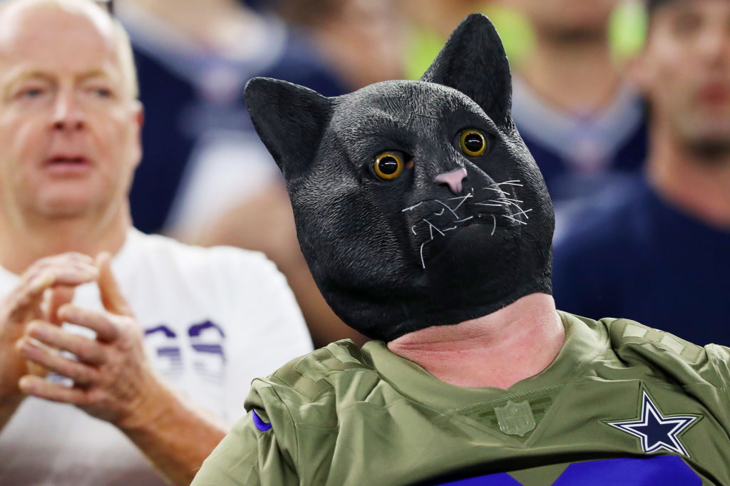 A fan wearing a black cat mask attends the game between the Minnesota Vikings and the Dallas Cowboys