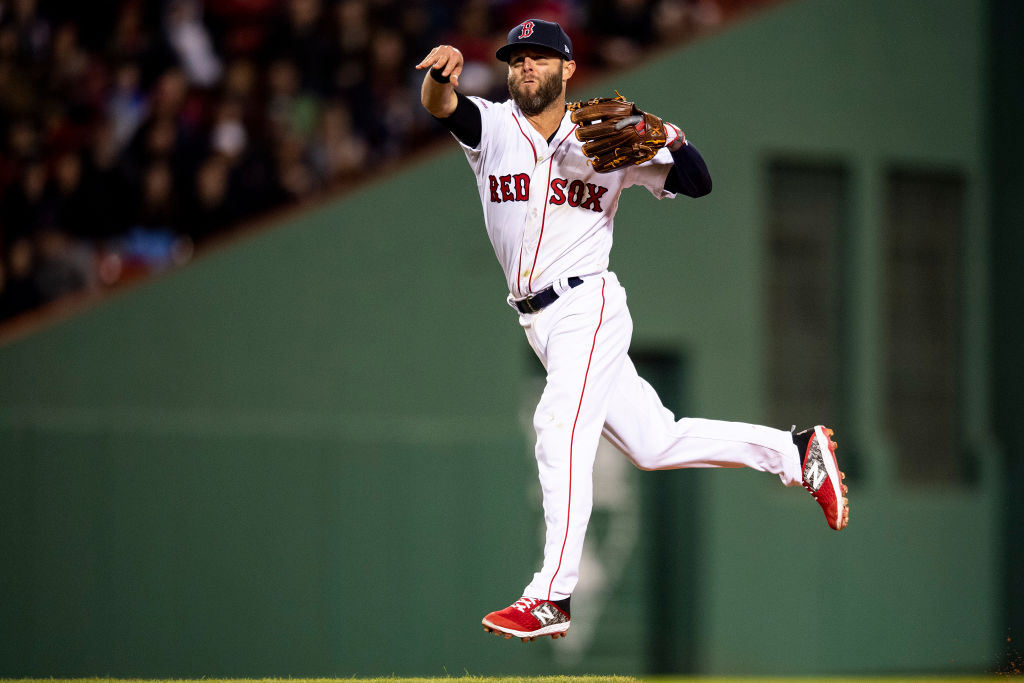 dustin pedroia baseball