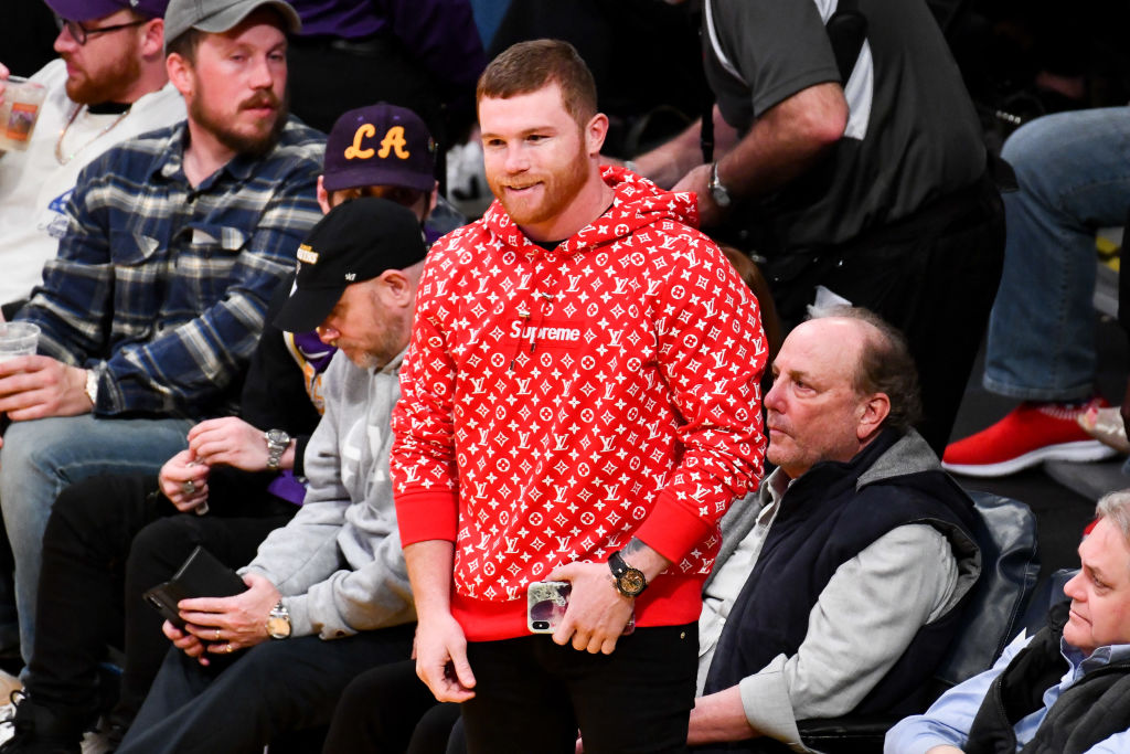 canelo alvarez shoes