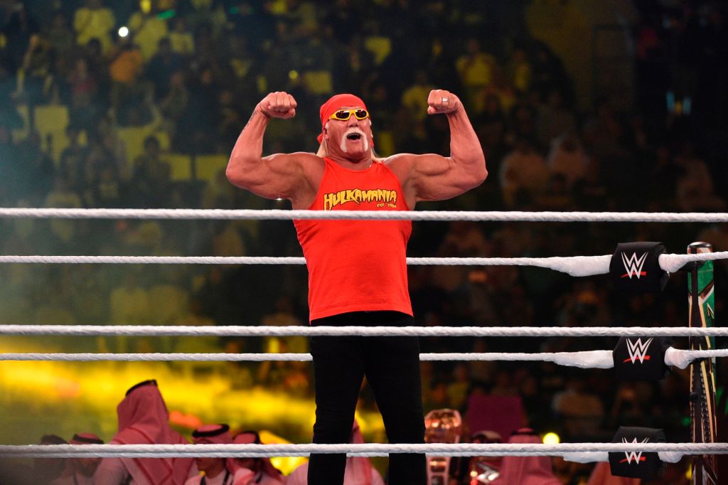 Hulk Hogan Could Have Been a Baseball Star, If Not for an Unfortunate Injury