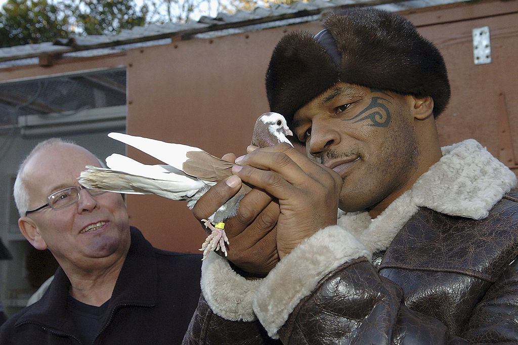 Mike Tyson has spent a pretty penny on pet pigeons.
