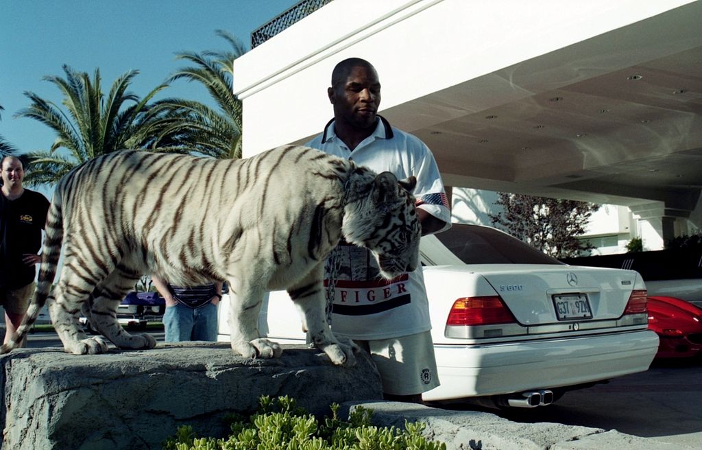 Mike Tyson poses with his white tiger during a 1989 interview at his home