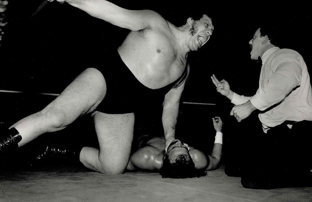 How Much Was Andre the Giant Worth at the Time of His Death?