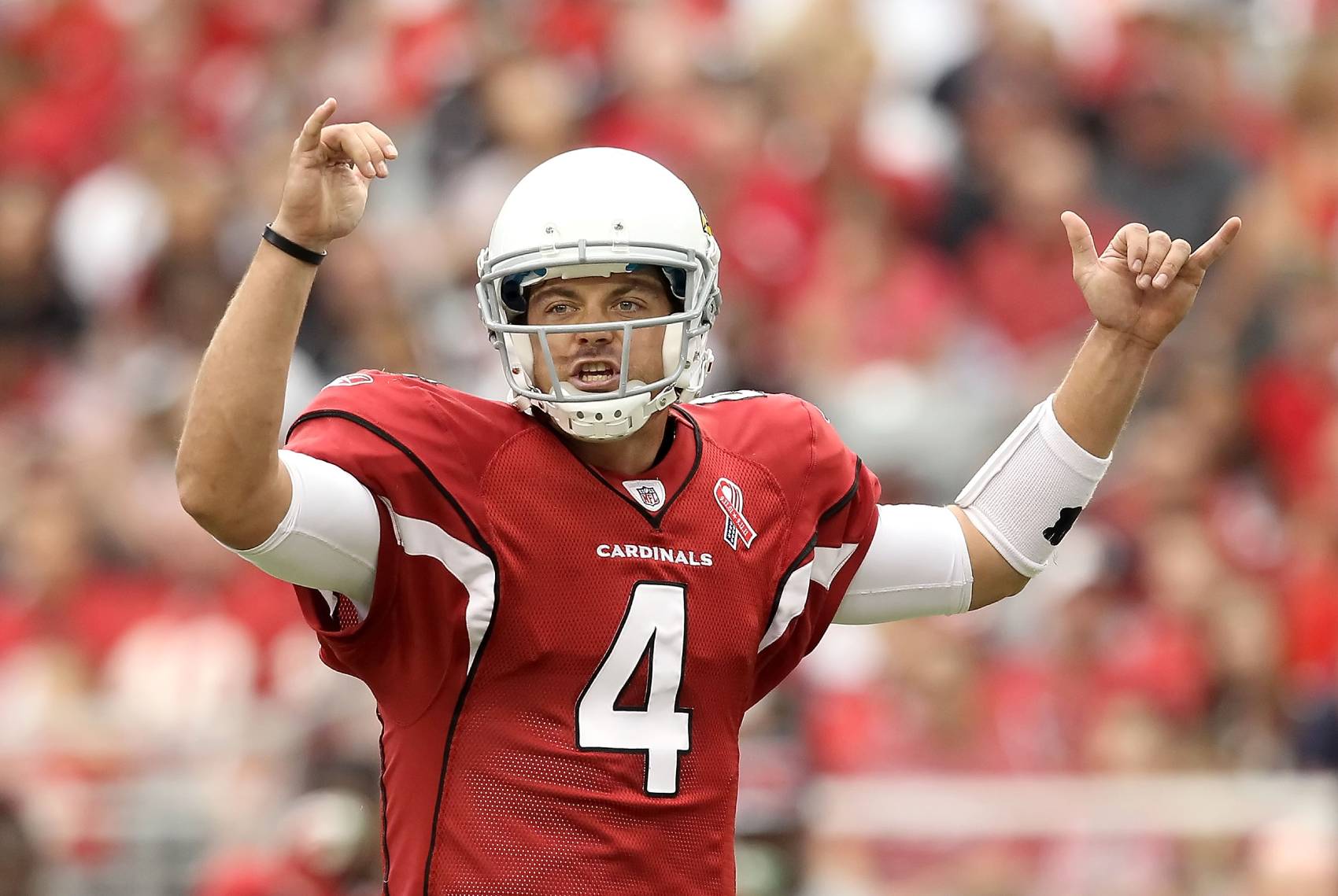 Former Arizona Cardinals quarterback Kevin Kolb suffered numerous concussions in his career. 