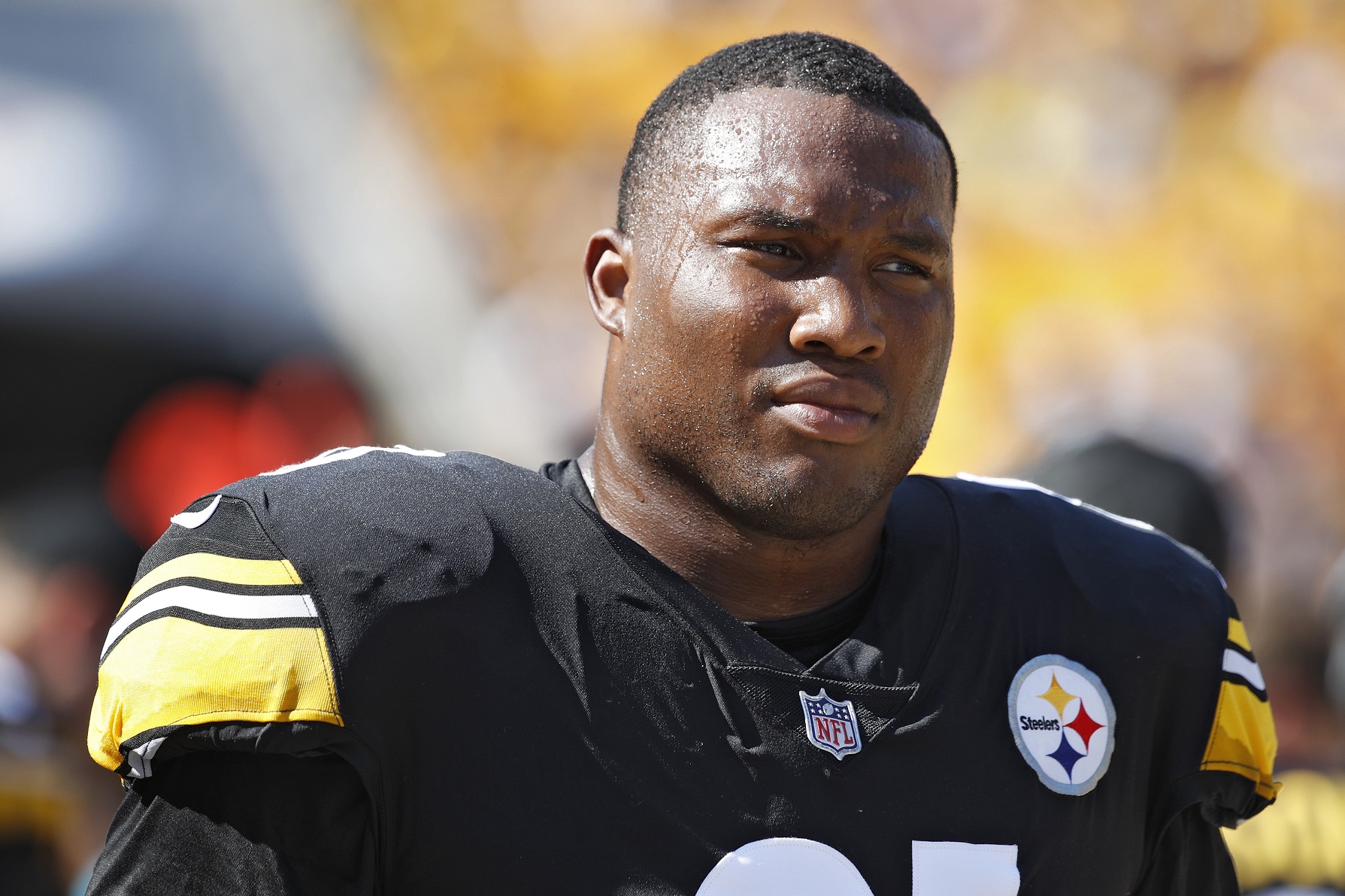 Stephon Tuitt, Pittsburgh Steelers