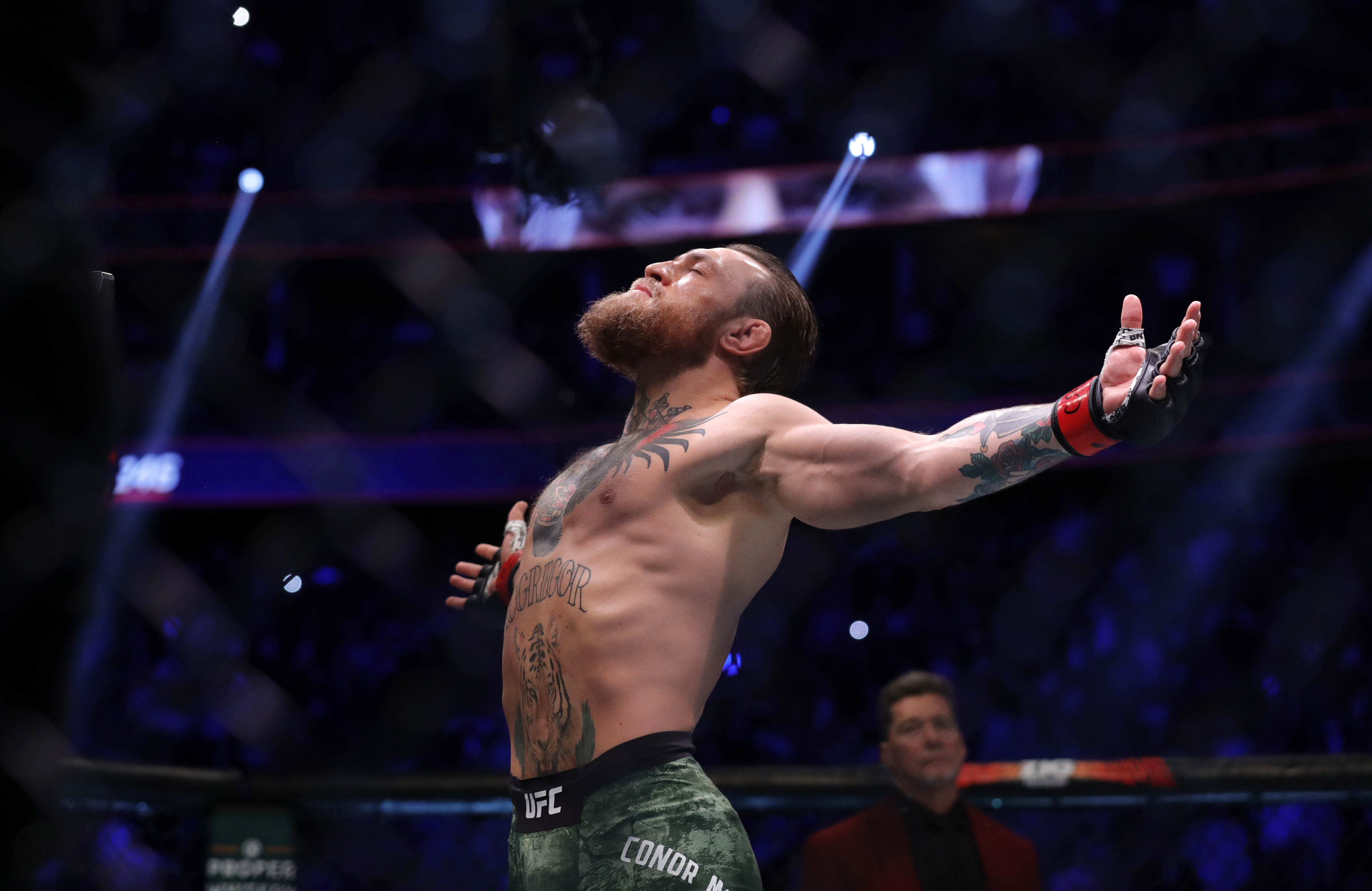 Conor McGregor soaks in the moment before a UFC fight