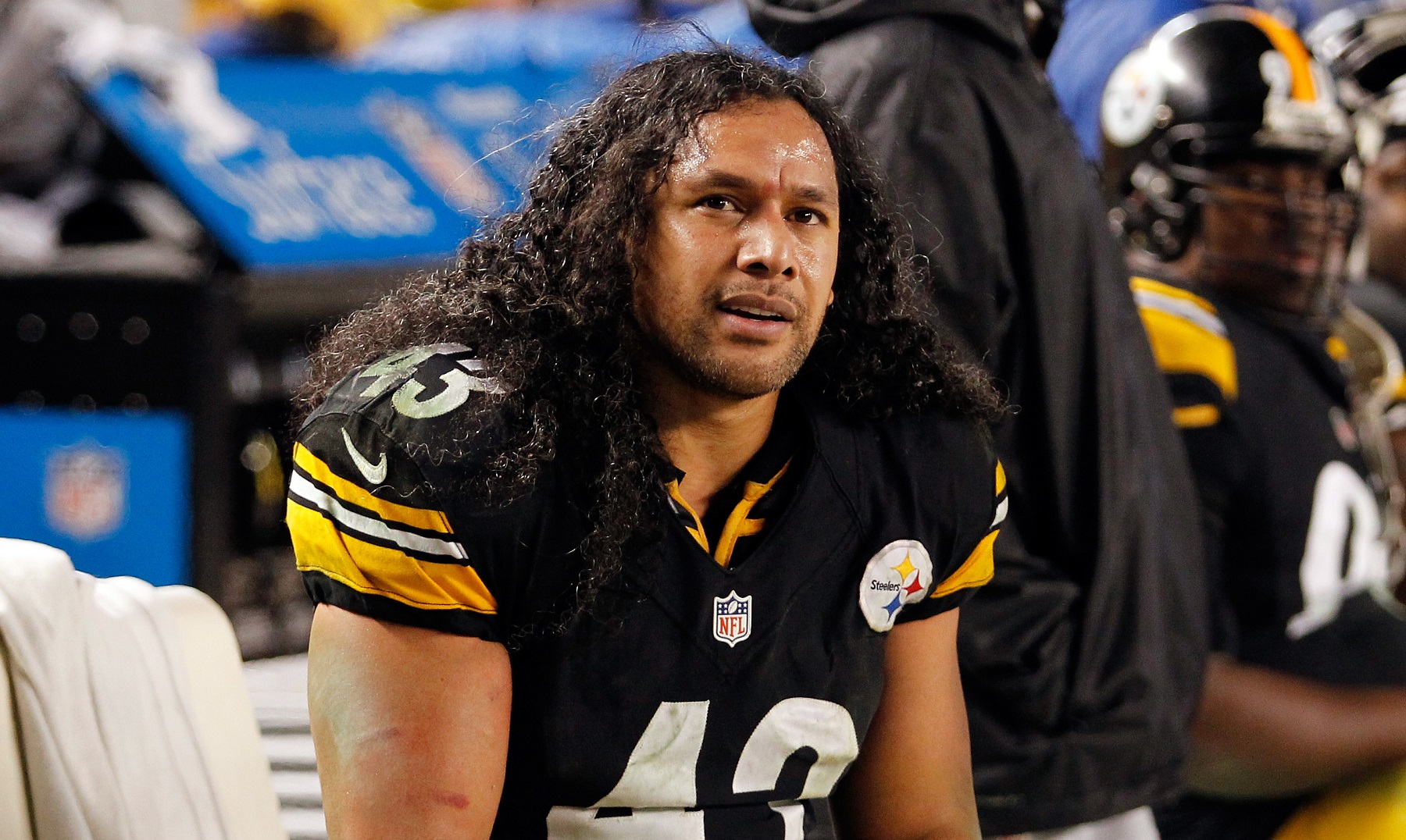 Troy Polamalu, Pittsburgh Steelers