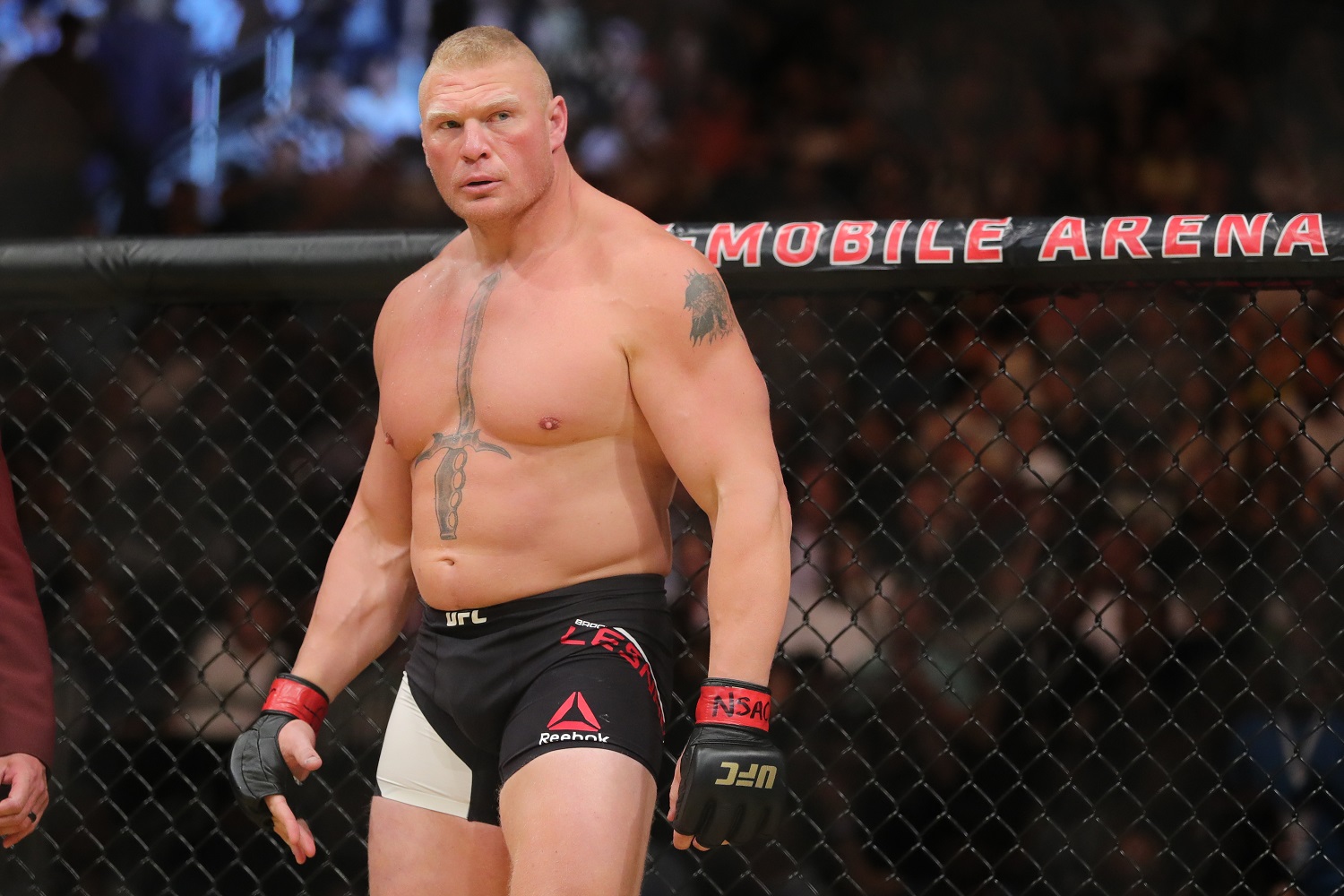 With Brock Lesnar No Longer Under Contract To WWE, Bellator Is Looking To Bring Him in for a Huge Dream Match