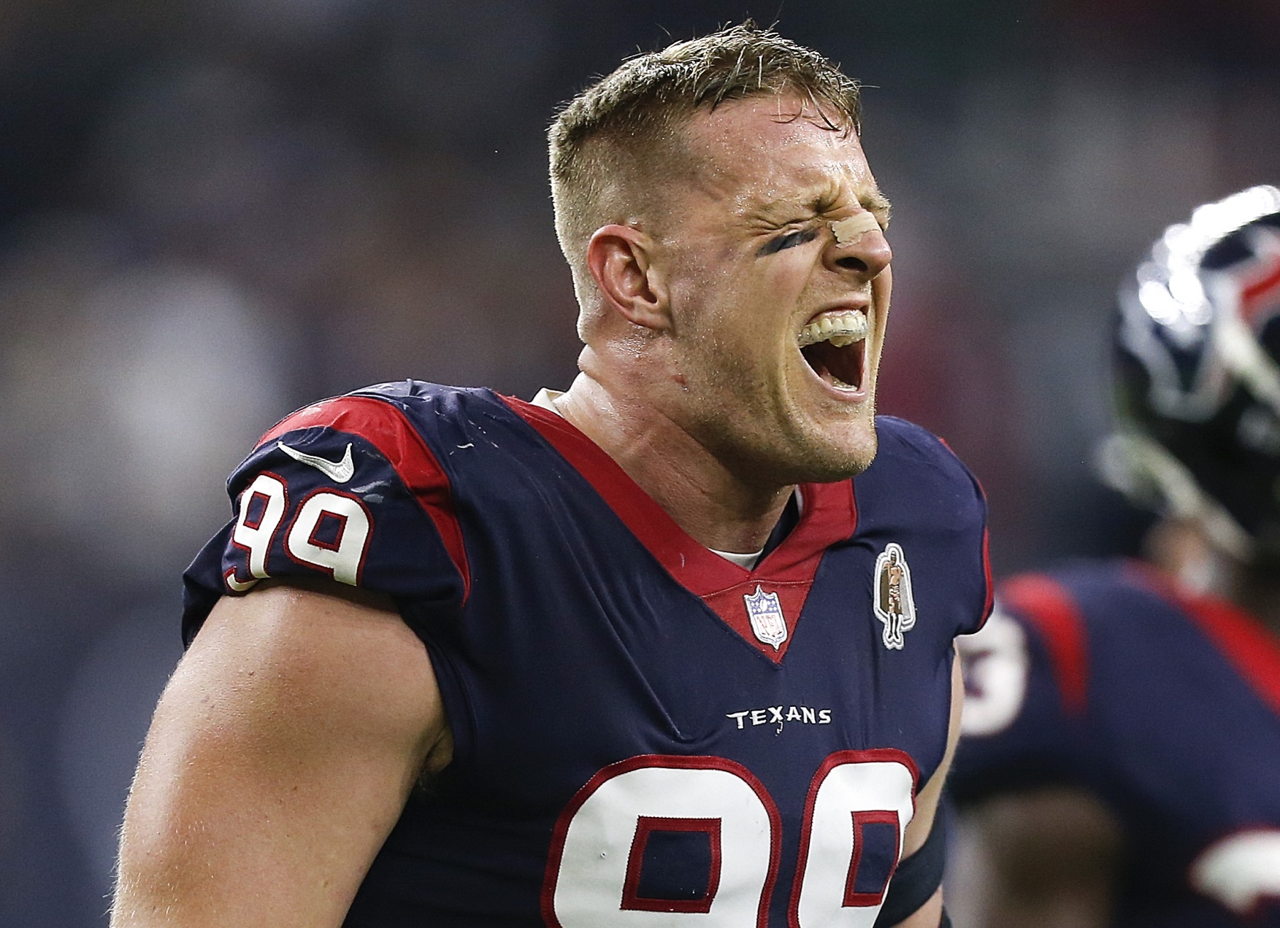 J.J. Watt, Houston Texans