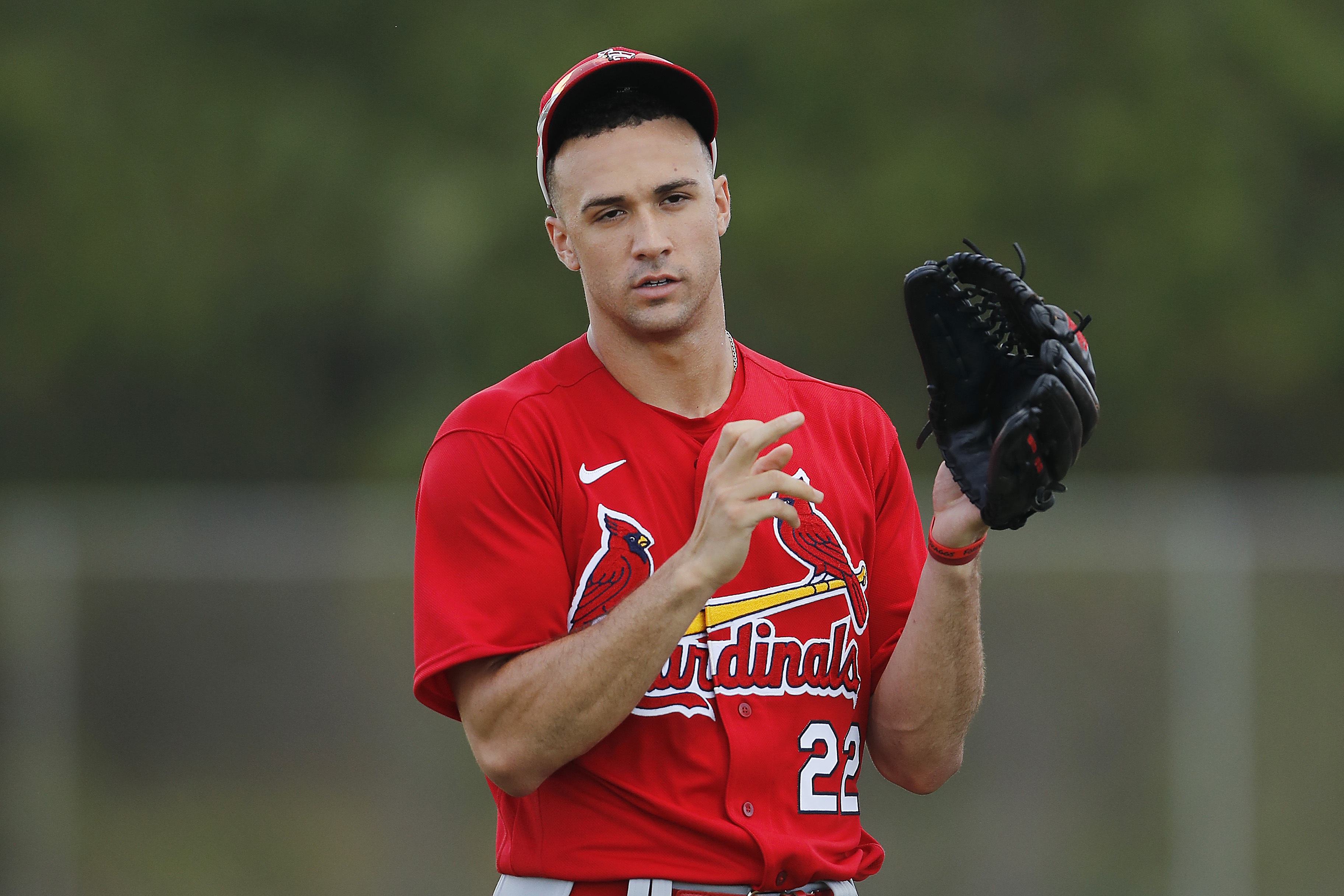 Alan's Music and Stuff Forecasting the 2021 St. Louis Cardinals' Season