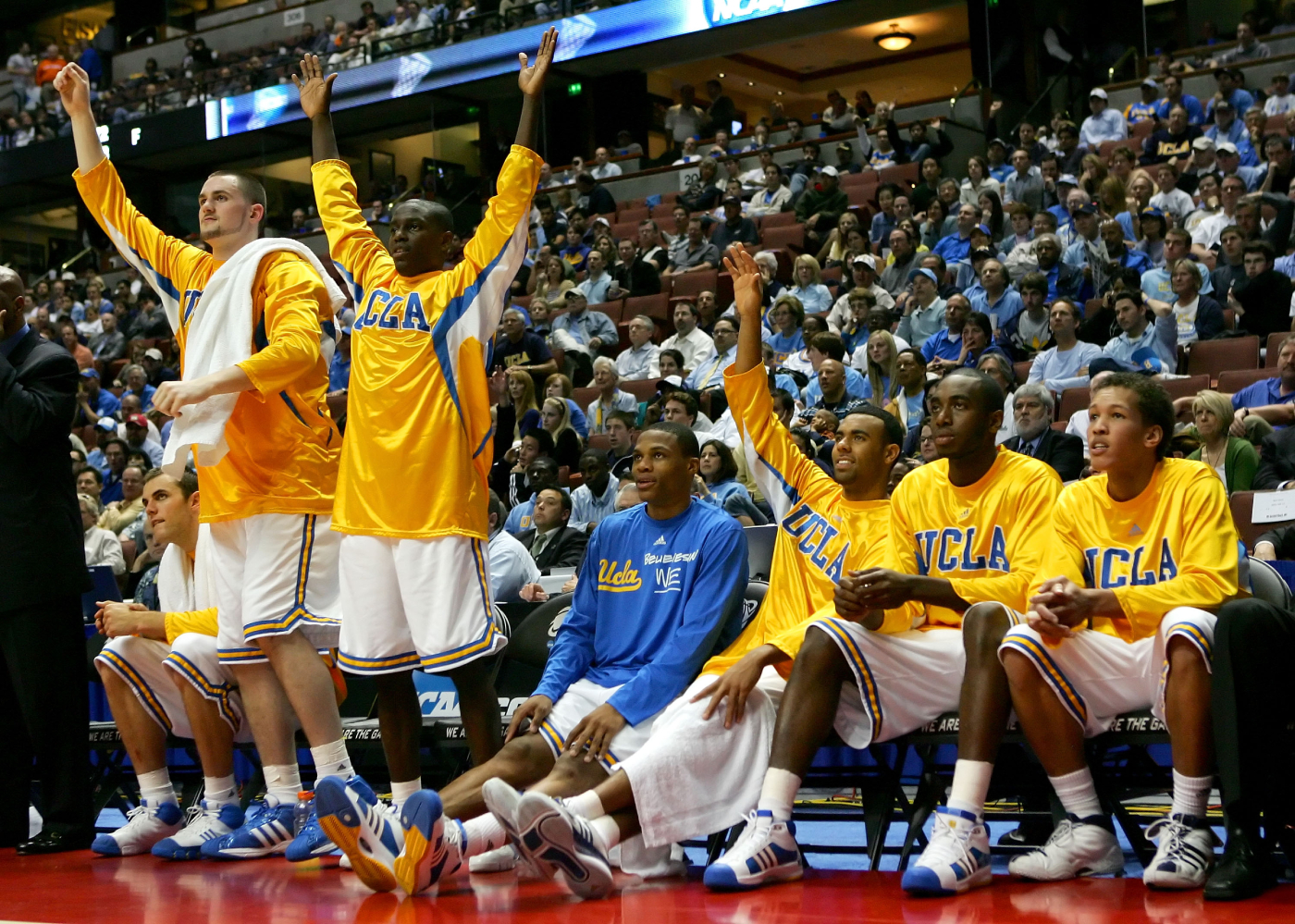 kevin love ucla jersey