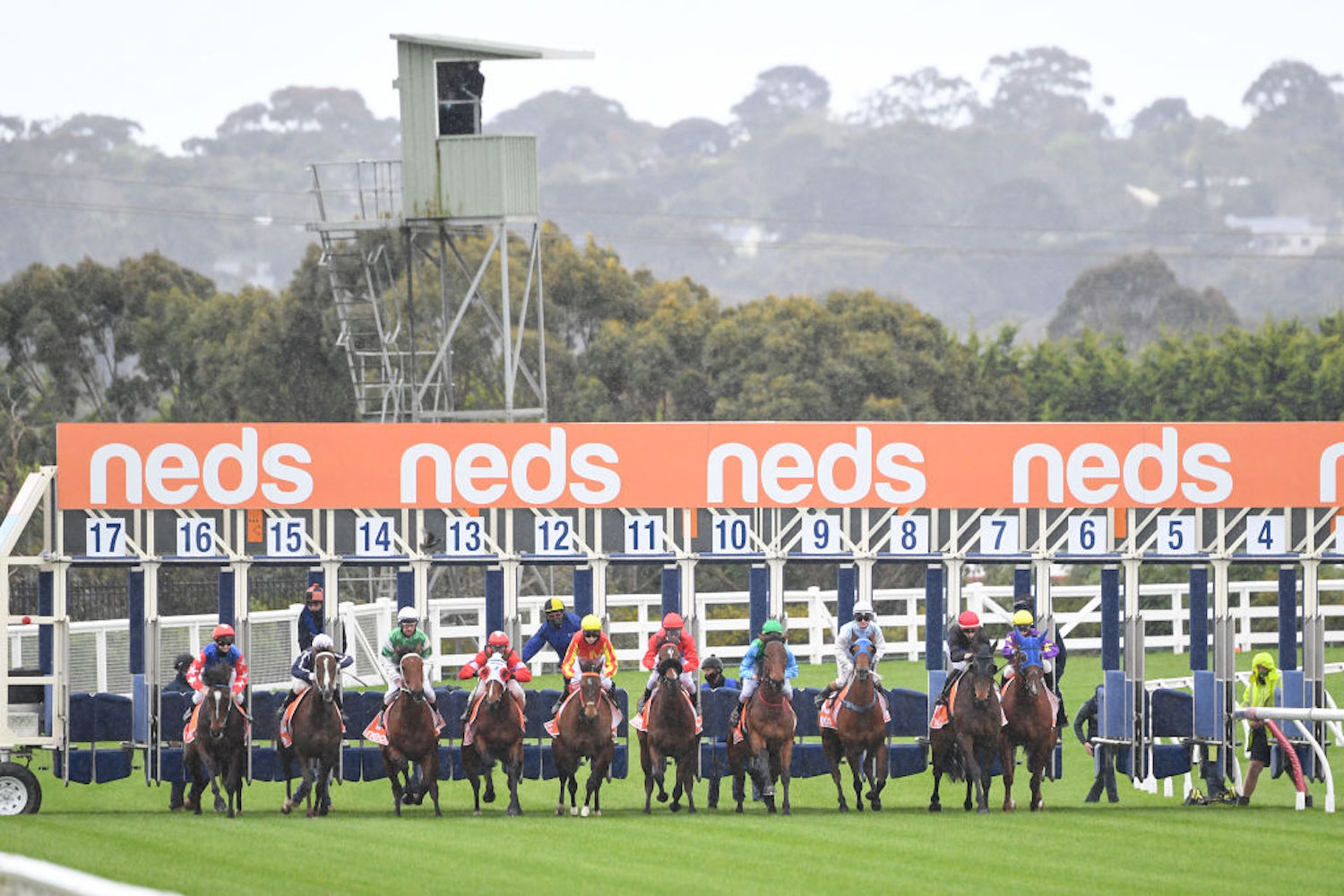 Australian Man Accidentally Wins $600,000 Thanks to a Typo on a Horse Racing Bet