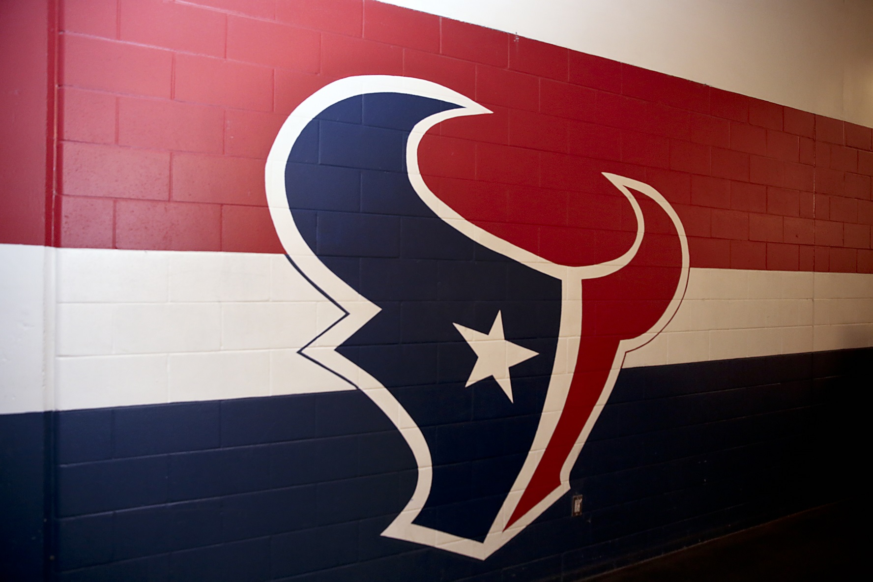 The Houston Texans Basically Admit They’re in Need of an Intervention by Roger Goodell