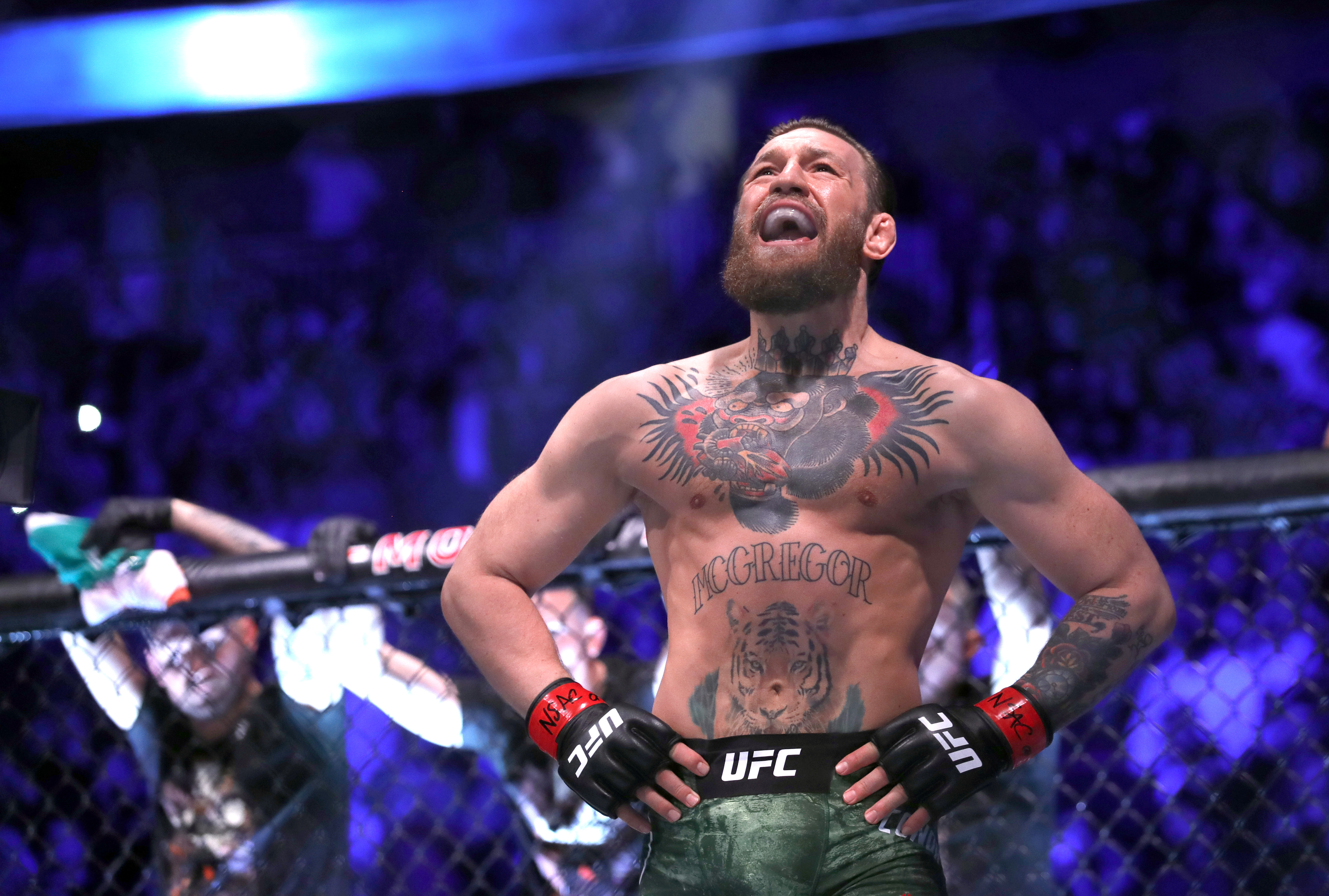 Conor McGregor’s Nutritionists Shocked His Coach: ‘No Way He’s Gonna Be Able to Eat All This Food’