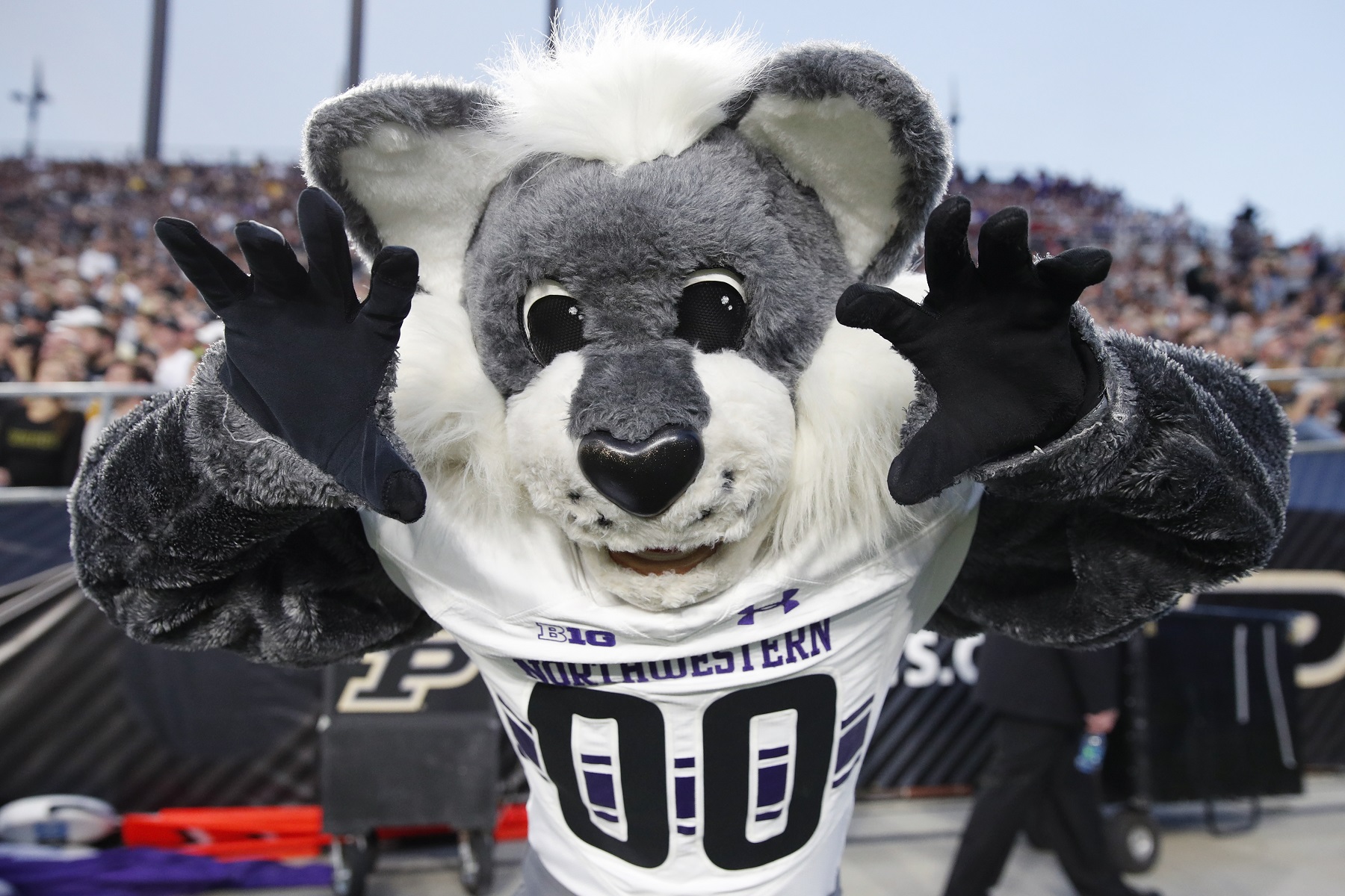 Darren Rovell has a $238,000 interest in seeing Northwestern beat Ohio State in college football