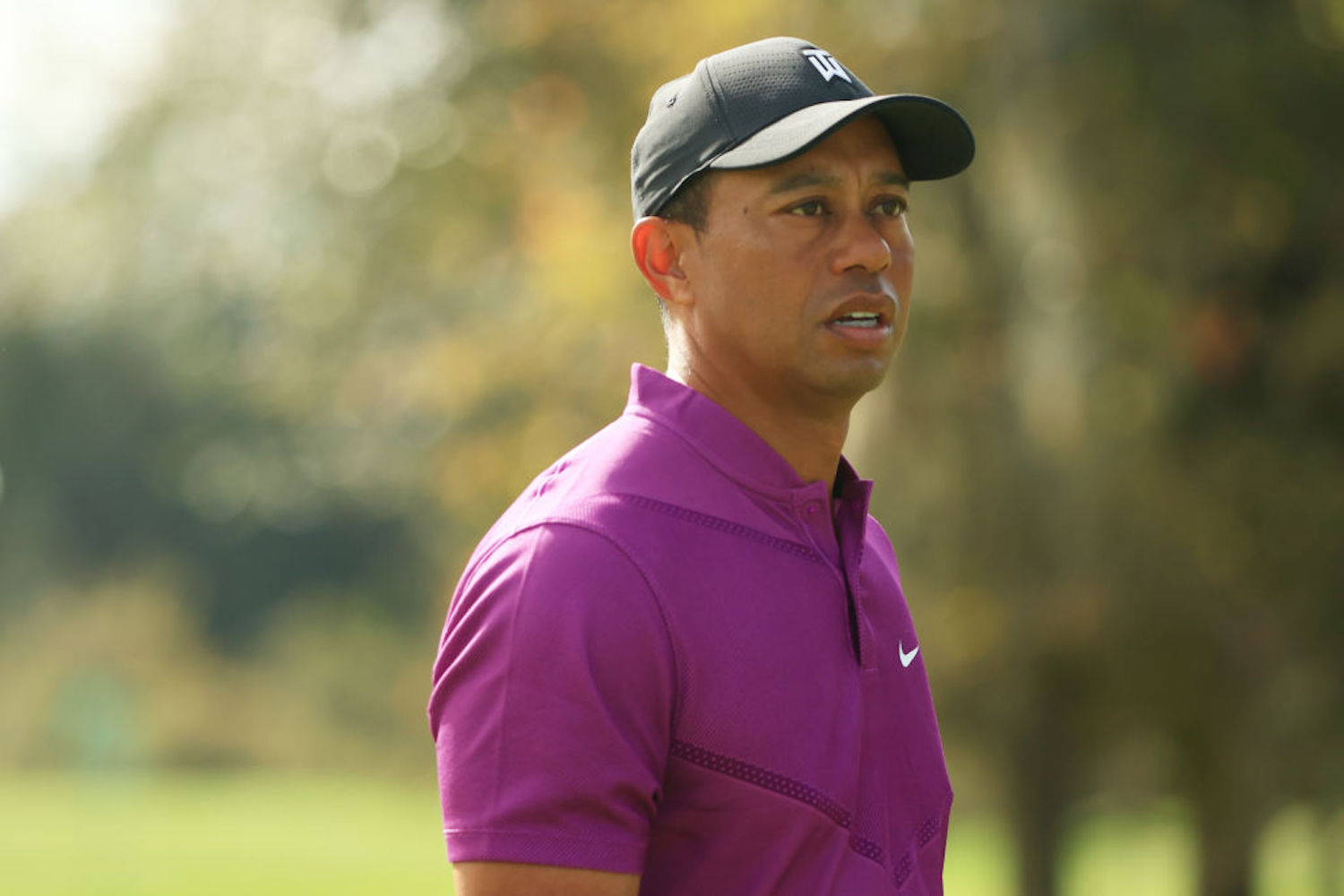 Tiger Woods has been fully healthy for the first time in a while, but another back surgery will keep him sidelined for a few months.